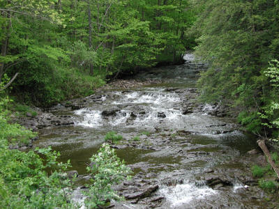 CliffSide Falls Upstream View1